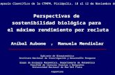 1 Perspectivas de sostenibilidad biológica para el máximo rendimiento por recluta Aníbal Aubone y Manuela Mendiolar Gabinete de Biomatemática Instituto.