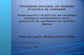 PROGRAMA INTEGRAL DE SANIDAD ACUICOLA DE CAMARON Subproyecto Correlación de variables biológico-ambientales con la presencia de epidemias de mancha blanca.