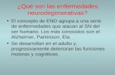 ¿Qué son las enfermedades neurodegenerativas? El concepto de END agrupa a una serie de enfermedades que atacan al SN del ser humano. Los más conocidos.