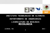 1 INSTITUTO TECNOLOGICO DE ALTAMIRA DEPARTAMENTO DE INGENIERIAS LICENCIATURA EN BIOLOGIA MICOLOGIA ALTAMIRA, TAM. 2013 - 2.