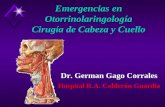 Emergencias en Otorrinolaringología Cirugía de Cabeza y Cuello Hospital R.A. Calderón Guardia Dr. German Gago Corrales.