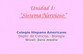 Unidad I: “Sistema Nervioso” Colegio Hispano Americano Depto. de Ciencias - Biología Nivel: 3ero medio.