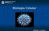 Biología Celular COLEGIO SAGRADOS CORAZONES VALPARAÍSO IIIº A BIOLOGÍA ELECTIVO PROFESOR: C. ALCAINO R.