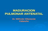 MADURACION PULMONAR ANTENATAL Dr. Wilfredo Villamonte Calanche.