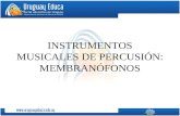 INSTRUMENTOS MUSICALES DE PERCUSIÓN: MEMBRANÓFONOS.