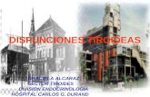 DISFUNCIONES TIROIDEAS GRACIELA ALCARAZ SECTOR TIROIDES DIVISIÓN ENDOCRINOLOGÍA HOSPITAL CARLOS G. DURAND.