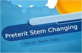 Preterit Stem Changing Yasmin, Tenzin, Gaby. What is a preterit stem changing verb? It is a verb in the past tense that has stem changes. One letter changes.