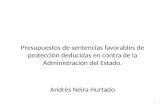 Presupuestos de sentencias favorables de protección deducidas en contra de la Administración del Estado. Andrés Neira Hurtado 1.