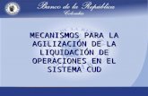 MECANISMOS PARA LA AGILIZACIÓN DE LA LIQUIDACIÓN DE OPERACIONES EN EL SISTEMA CUD.