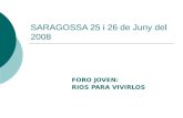 SARAGOSSA 25 i 26 de Juny del 2008 FORO JOVEN: RIOS PARA VIVIRLOS.