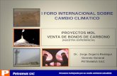 Peruanos trabajando por un medio ambiente saludable PROYECTOS MDL VENTA DE BONOS DE CARBONO (NUESTRA EXPERIENCIA) Petramas SAC Dr. Jorge Zegarra Reategui.