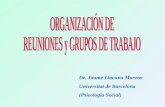 Dr. Jaume Llacuna Morera Universitat de Barcelona (Psicologia Social)