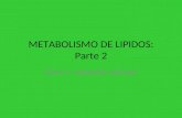 METABOLISMO DE LIPIDOS: Parte 2 ZOILA F. HONORIO DURAND.