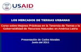 Curso sobre Mejores Prácticas en la Tenencia de Tierras y la Gobernabilidad de Recursos Naturales en América Latina LOS MERCADOS DE TIERRAS URBANAS Presentación.