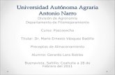 Universidad Autónoma Agraria Antonio Narro División de Agronomía Departamento de Fitomejoramiento Curso: Poscosecha Titular: Dr. Mario Ernesto Vásquez.