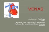 Anatomia y Fisiología 5toA2 Alumno: Juan Pablo García Marmolejo Profesor: Dr. Luis Ulises Eliseo Oropeza Morales.