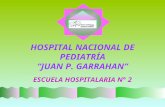 HOSPITAL NACIONAL DE PEDIATRÍA “JUAN P. GARRAHAN” ESCUELA HOSPITALARIA N° 2.