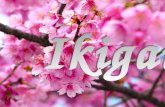 Ikigai es un término de origen japonés que no tiene una traducción exacta al español aunque se le atribuye un significado sumamente especial: