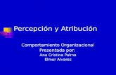 Percepción y Atribución Comportamiento Organizacional Presentada por: Ana Cristina Palma Elmer Alvarez.