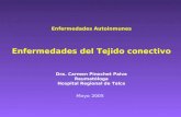 Enfermedades Autoinmunes Enfermedades del Tejido conectivo Dra. Carmen Pinochet Paiva Reumatóloga Hospital Regional de Talca Mayo 2005.