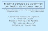 Trauma cerrado de abdomen con lesión de víscera hueca Autores: Marcos Hurvitz - Florencia Grosso Carriazú - Paula Boschero Gonzalo Mañanes Servicio de.