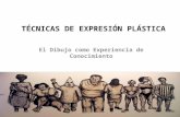TÉCNICAS DE EXPRESIÓN PLÁSTICA El Dibujo como Experiencia de Conocimiento.