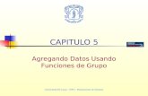 Universidad del Cauca – FIET – Departamento de Sistemas CAPITULO 5 Agregando Datos Usando Funciones de Grupo.