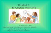 Unidad 3 El Cuerpo Humano 4º Básico A B - 2011 Material de apoyo a la Asignatura de Ciencias Naturales Colegio De La Salle - La Reina. Profesora: Liliana.
