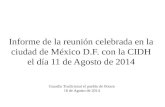 Informe de la reunión celebrada en la ciudad de México D.F. con la CIDH el día 11 de Agosto de 2014 Guardia Tradicional el pueblo de Potam 16 de Agosto.