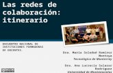 Panel Las redes de colaboración: itinerario ENCUENTRO NACIONAL DE INSTITUCIONES FORMADORAS DE DOCENTES. Dra. María Soledad Ramírez Montoya Tecnológico.