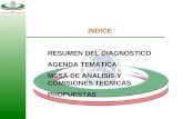 INDICE RESUMEN DEL DIAGNOSTICO AGENDA TEMATICA MESA DE ANALISIS Y COMISIONES TECNICAS PROPUESTAS.