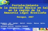 Fortalecimiento de la Atención Básica en Salud en la región de la Amazonía Legal Brasileña Managua, 2007 Miembros del equipo: Dmitri Araujo, Marcus Quito,