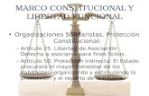MARCO CONSTITUCIONAL Y LIBERTAD FUNCIONAL Organizaciones Solidaristas, Protección Constitucional: – Artículo 25. Libertad de Asociación: Derecho a asociarse.