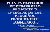 PLAN ESTRATEGICO DE DESARROLLO PRODUCTIVO INTEGRAL DE LOS PEQUEÑOS PRODUCTORES 2006 - 2011 Viceministerio de Micro y Pequeña Empresa Relator: Lic. Ruddy.
