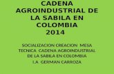 CADENA AGROINDUSTRIAL DE LA SABILA EN COLOMBIA 2014 SOCIALIZACION CREACION MESA TECNICA CADENA AGROINDUSTRIAL DE LA SABILA EN COLOMBIA I.A GERMAN CARROZA.