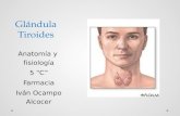 Glándula Tiroides Anatomía y fisiología 5 “C” Farmacia Iván Ocampo Alcocer.