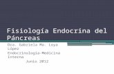 Fisiología Endocrina del Páncreas Dra. Gabriela Ma. Loya López Endocrinología-Medicina Interna Junio 2012.