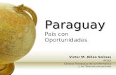 Paraguay Paraguay País con Oportunidades Victor M. Aillón Salinas APUDI Cámara Paraguaya de la Informática y las Telecomunicaciones.