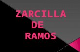 DATOS GENERALES Zarcilla de Ramos es una pedanía de Lorca, con una superficie de 109,258km2 y una población de 1.071 habitantes. Se encuentra a una superficie.