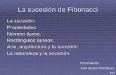 La sucesión de Fibonacci La sucesión. Propiedades. Número áureo. Rectángulos áureos. Arte, arquitectura y la sucesión. La naturaleza y la sucesión. Presentación.