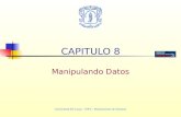Universidad del Cauca – FIET – Departamento de Sistemas CAPITULO 8 Manipulando Datos.