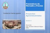 Docente: Ing. Jonatán Edward Rojas Polo Proyectos Agroindustriales Pronósticos de Mercado y Precios Sesión 5 1.