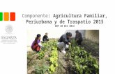 Componente: Agricultura Familiar, Periurbana y de Traspatio 2015 DOF 28 DIC 2014.