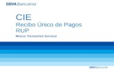 CIE Recibo Único de Pagos RUP México Transaction Services.