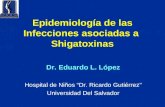 Epidemiología de las Infecciones asociadas a Shigatoxinas Dr. Eduardo L. López Hospital de Niños “Dr. Ricardo Gutiérrez” Universidad Del Salvador.