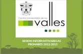SESION INFORMATIVABECAS PRONABES 2012-2013. PASO Nº 1 .