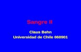 Sangre II Claus Behn Universidad de Chile 060901.