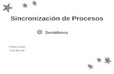 Sincronización de Procesos Semáforos Emely Arráiz Ene-Mar 08.