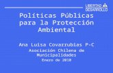Políticas Públicas para la Protección Ambiental Ana Luisa Covarrubias P-C Asociación Chilena de Municipalidades Enero de 2010.