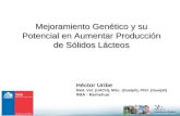 Mejoramiento Genético y su Potencial en Aumentar Producción de Sólidos Lácteos Héctor Uribe Méd. Vet. (UACH), MSc. (Guelph), PhD. (Guelph) INIA - Remehue.